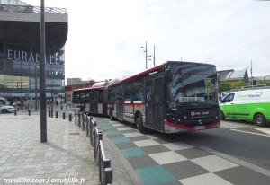 Photo 03.JPG